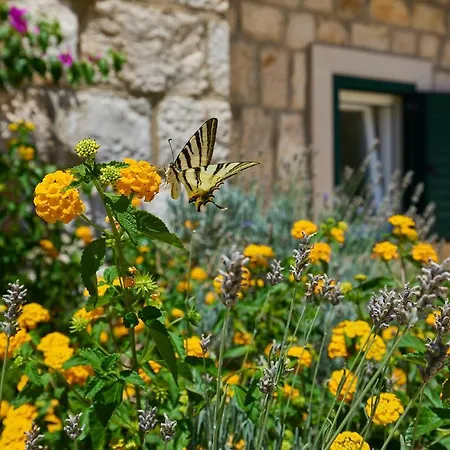 Villa Hedera Estate, Hedera Ix *